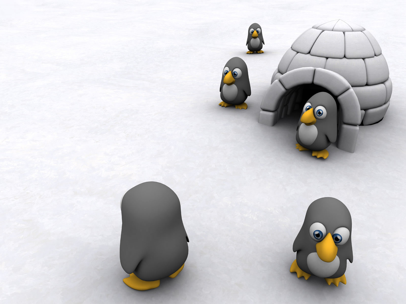 Fond d'ecran Pingouin Igloo