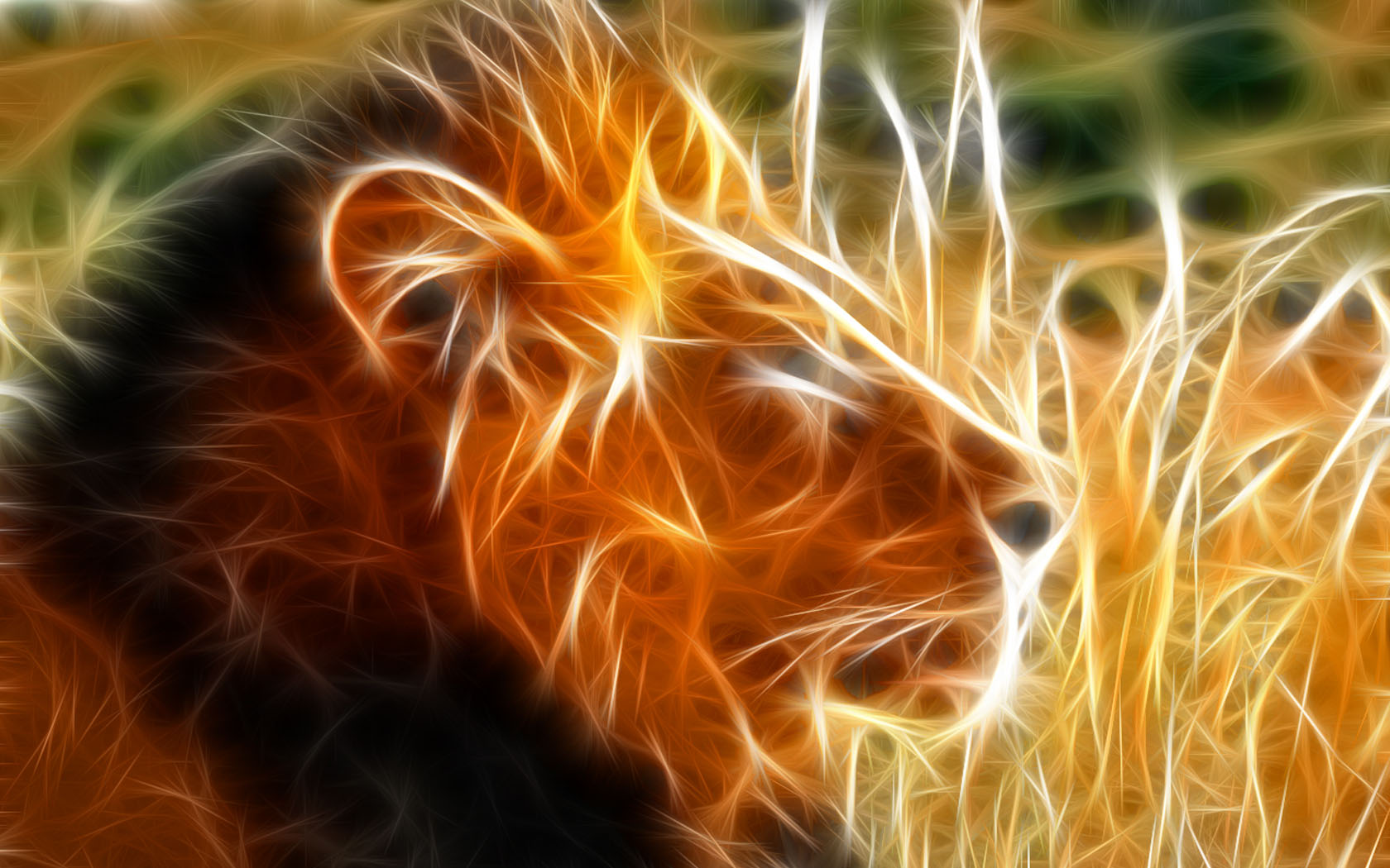 Fond d'ecran Lion savane Art