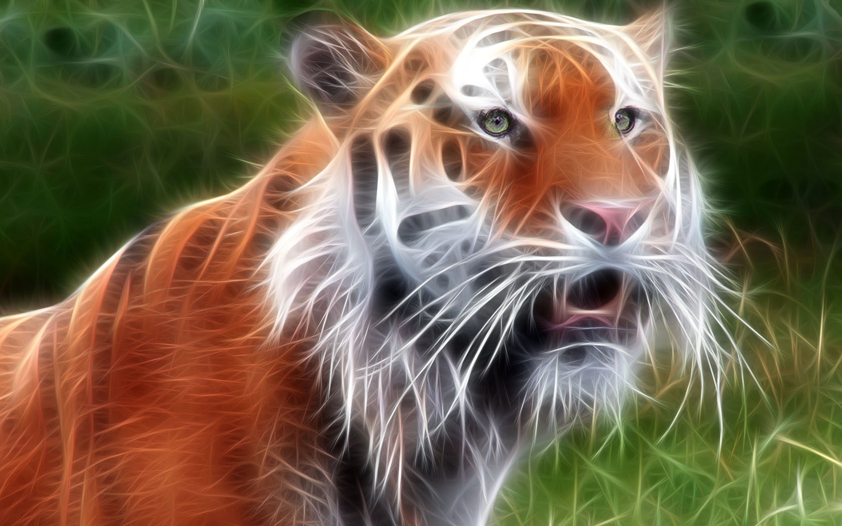 Fond d'ecran Tigre Art