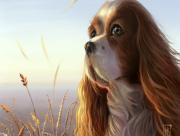 Nature Cavalier King Charles