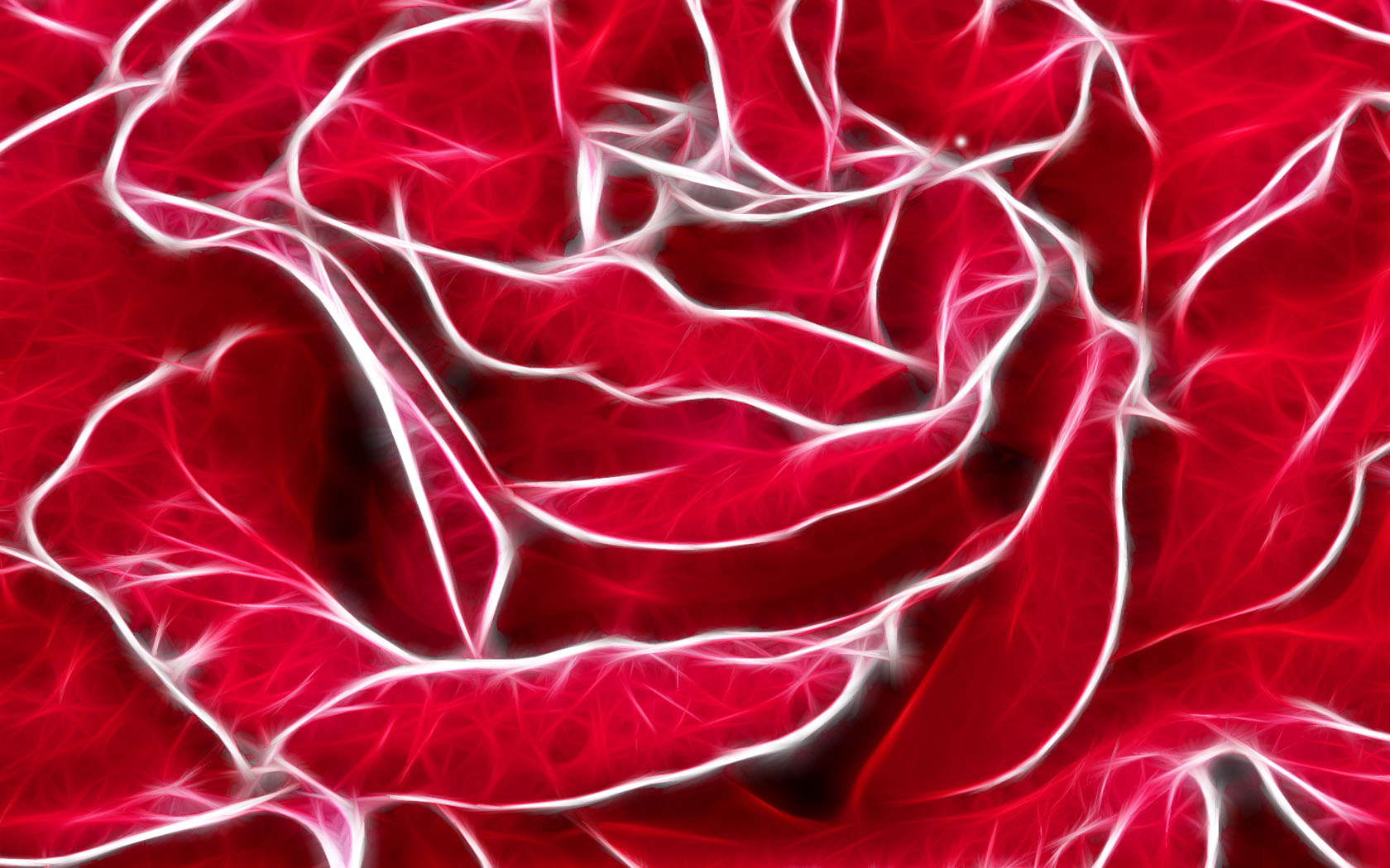 Fond d'ecran Fleur Rose Art