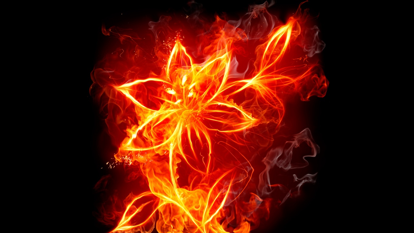 Fond d'ecran Fire Flower