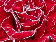 Fleur Rose Art