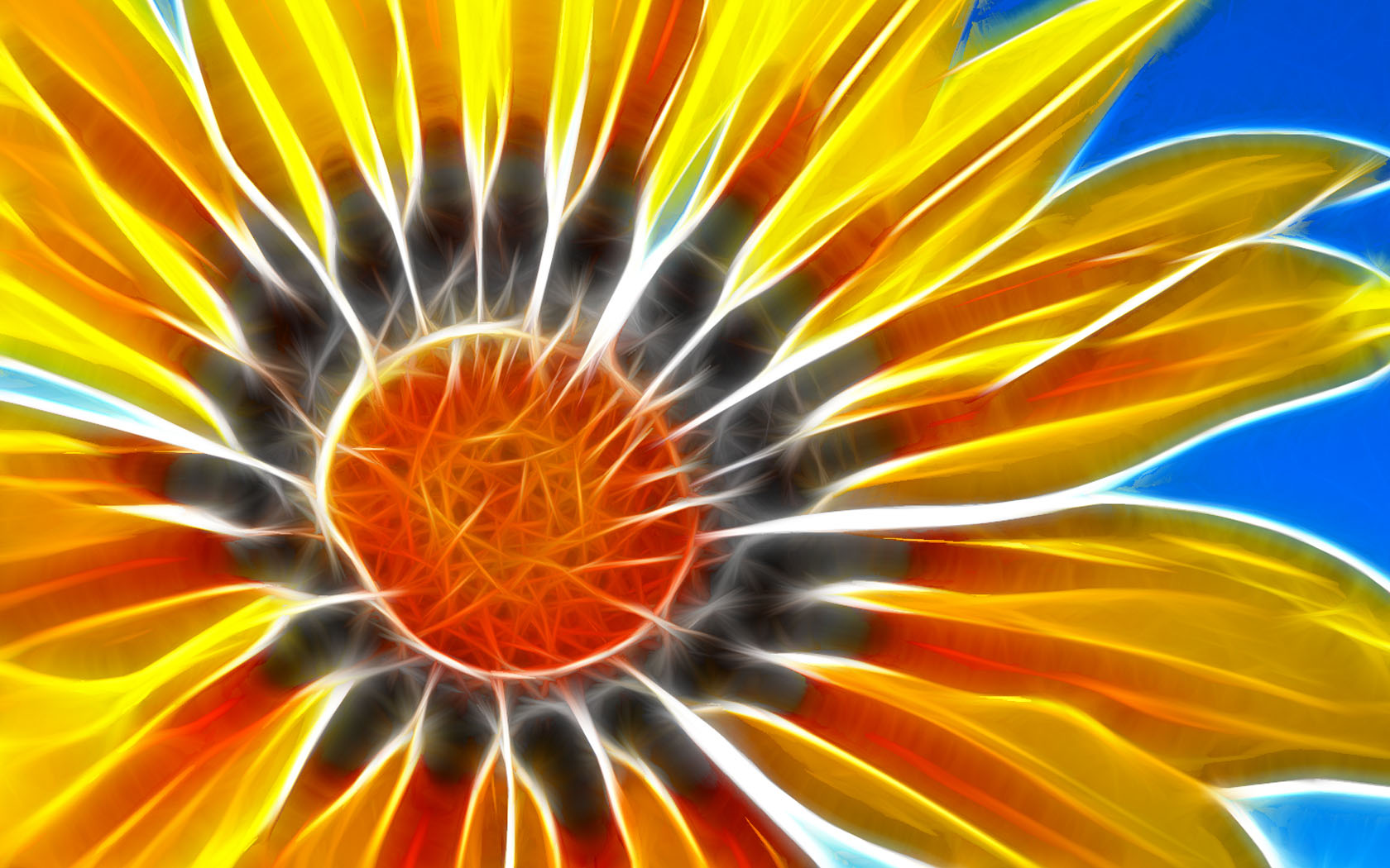 Fond d'ecran Fleur Soleil