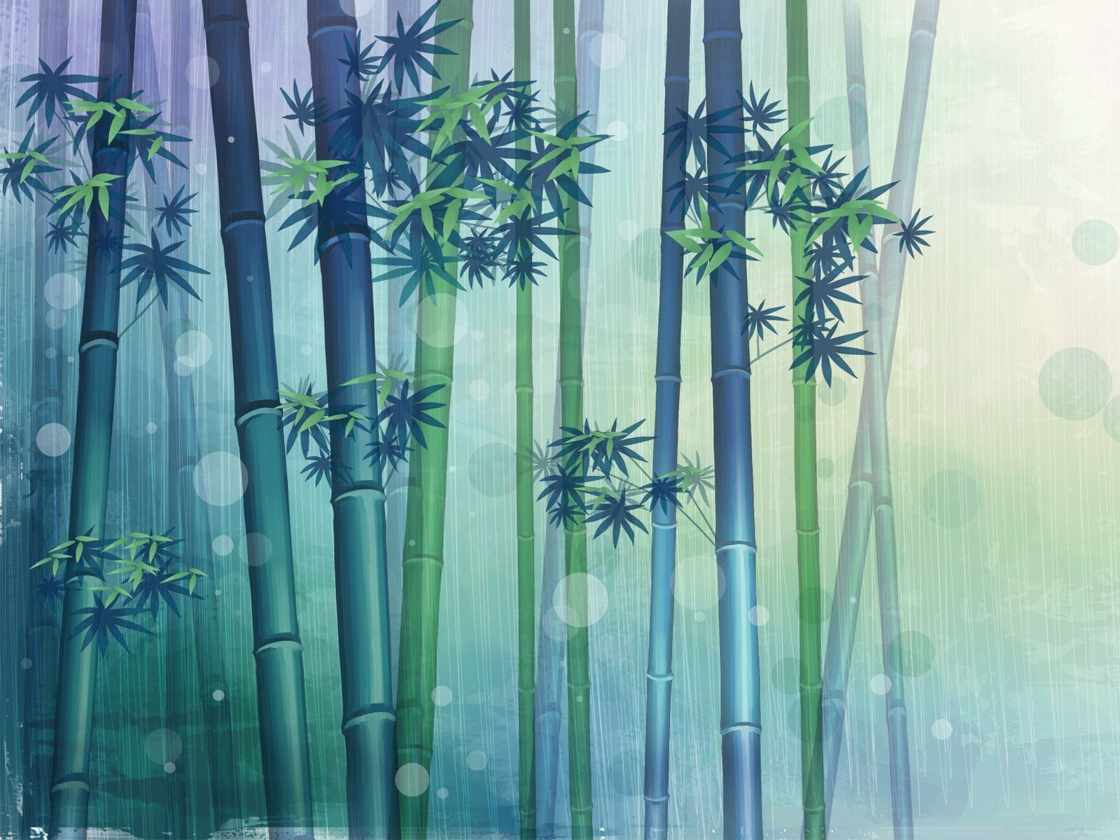Fond d'ecran Bambous nature
