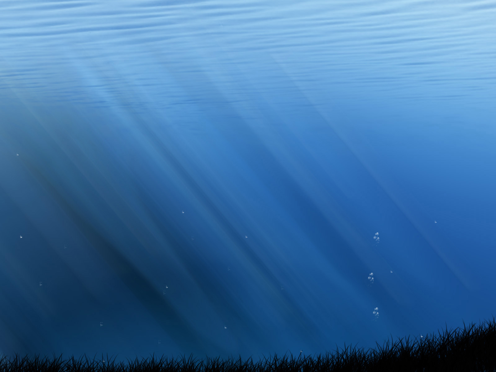 Fond d'ecran Under the sea