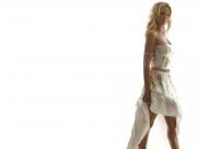 Katherine Heigl en robe