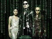 Les femmes Matrix