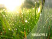 Windows 7 Nature