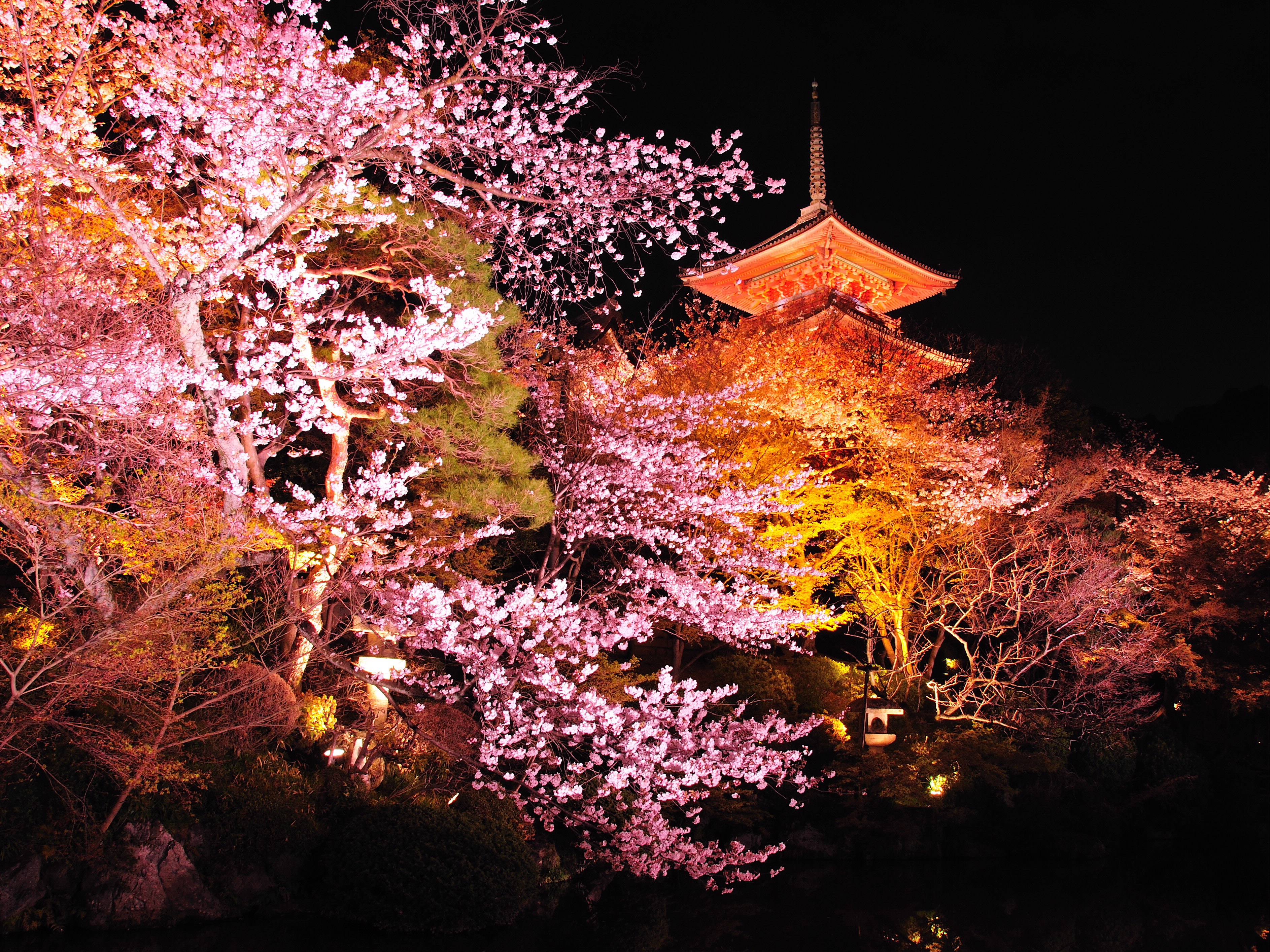 Fond d'ecran Jardin chinois