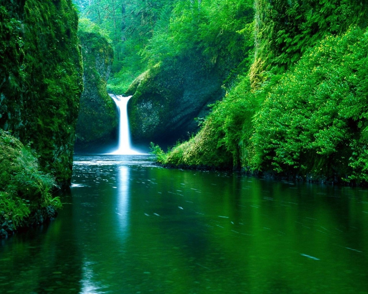 Fond d'ecran Petite cascade nature luxuriante