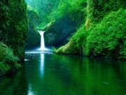 Petite cascade nature luxuriante