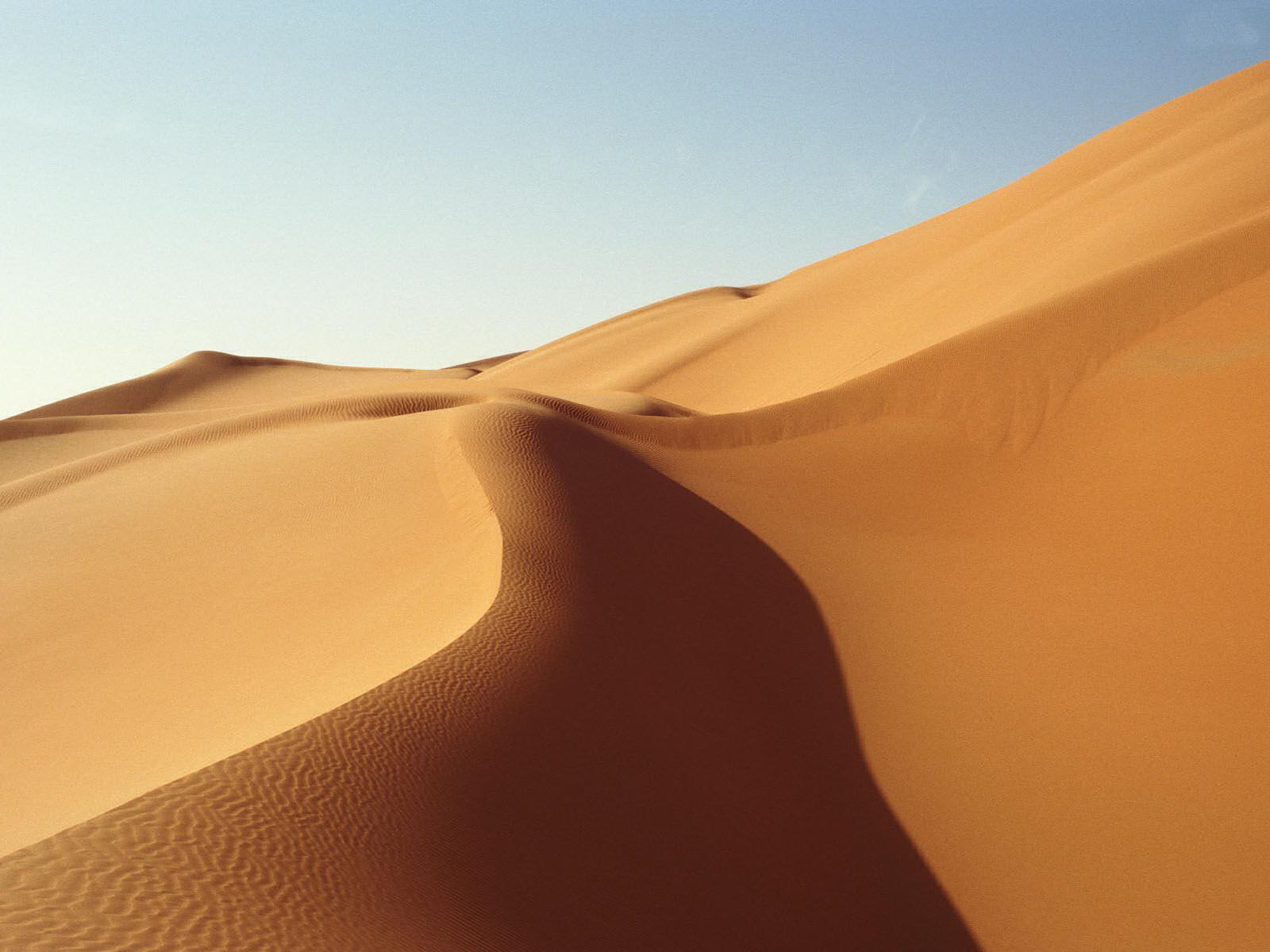 Fond d'ecran Dunes de sable