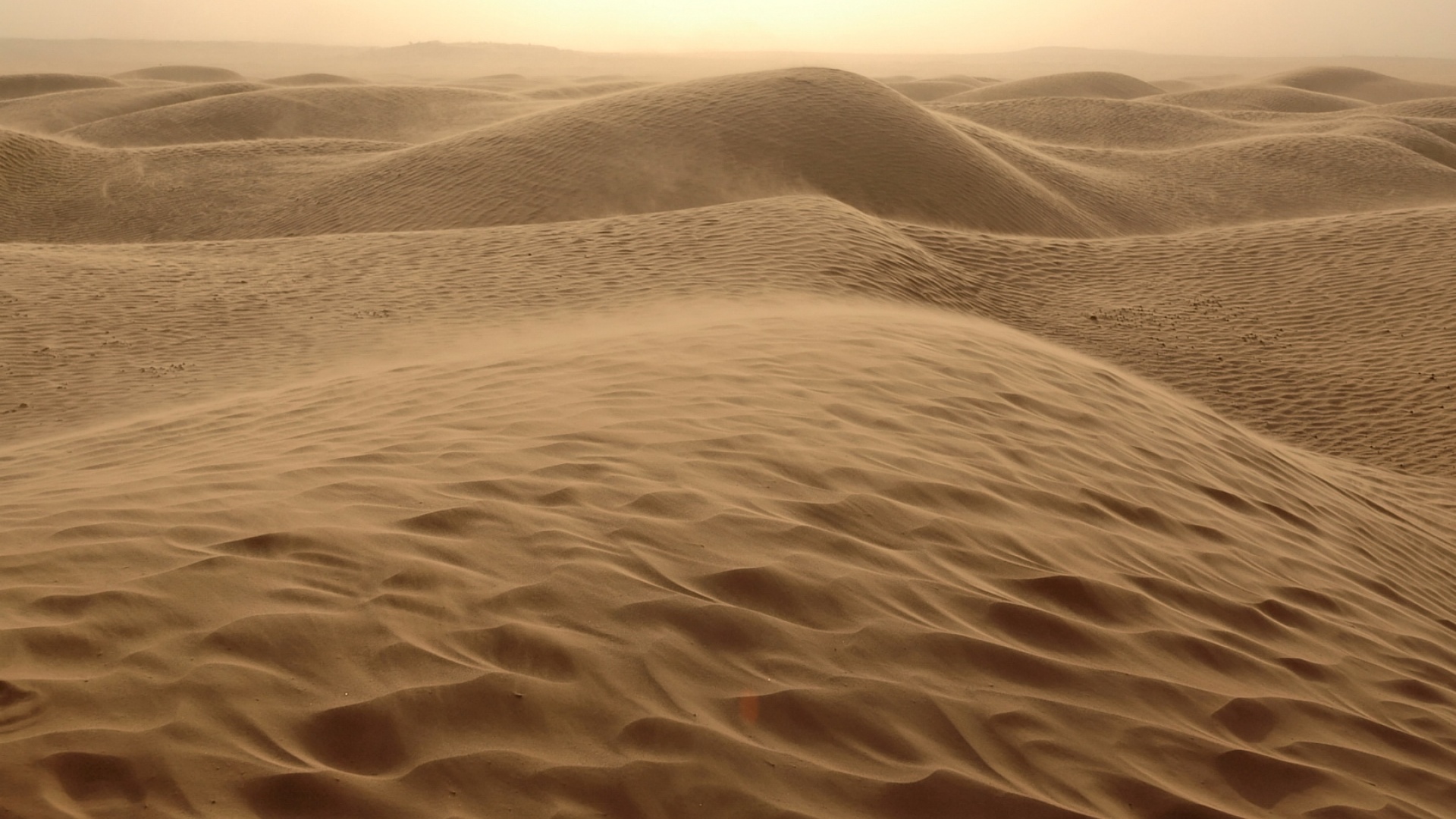 Fond d'ecran Sommet des dunes