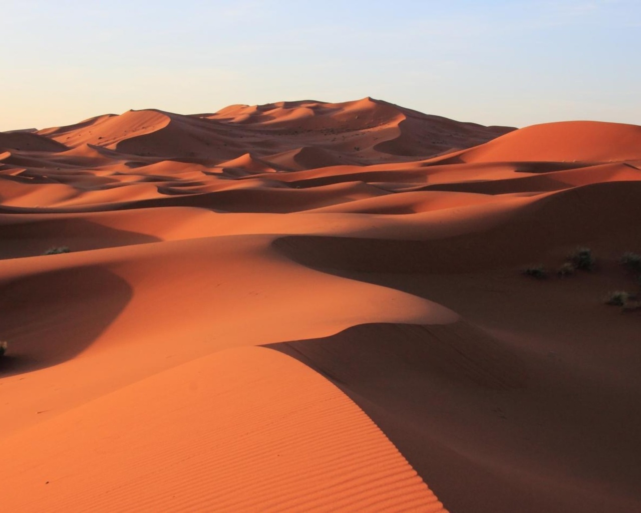 Fond d'ecran Dunes de sable  perte de vue