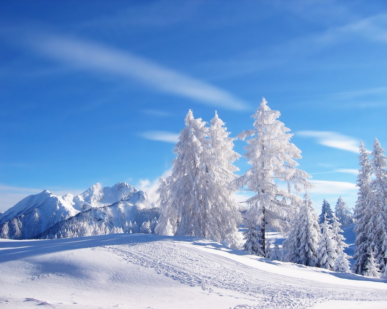 Fond d'ecran Nature enneige