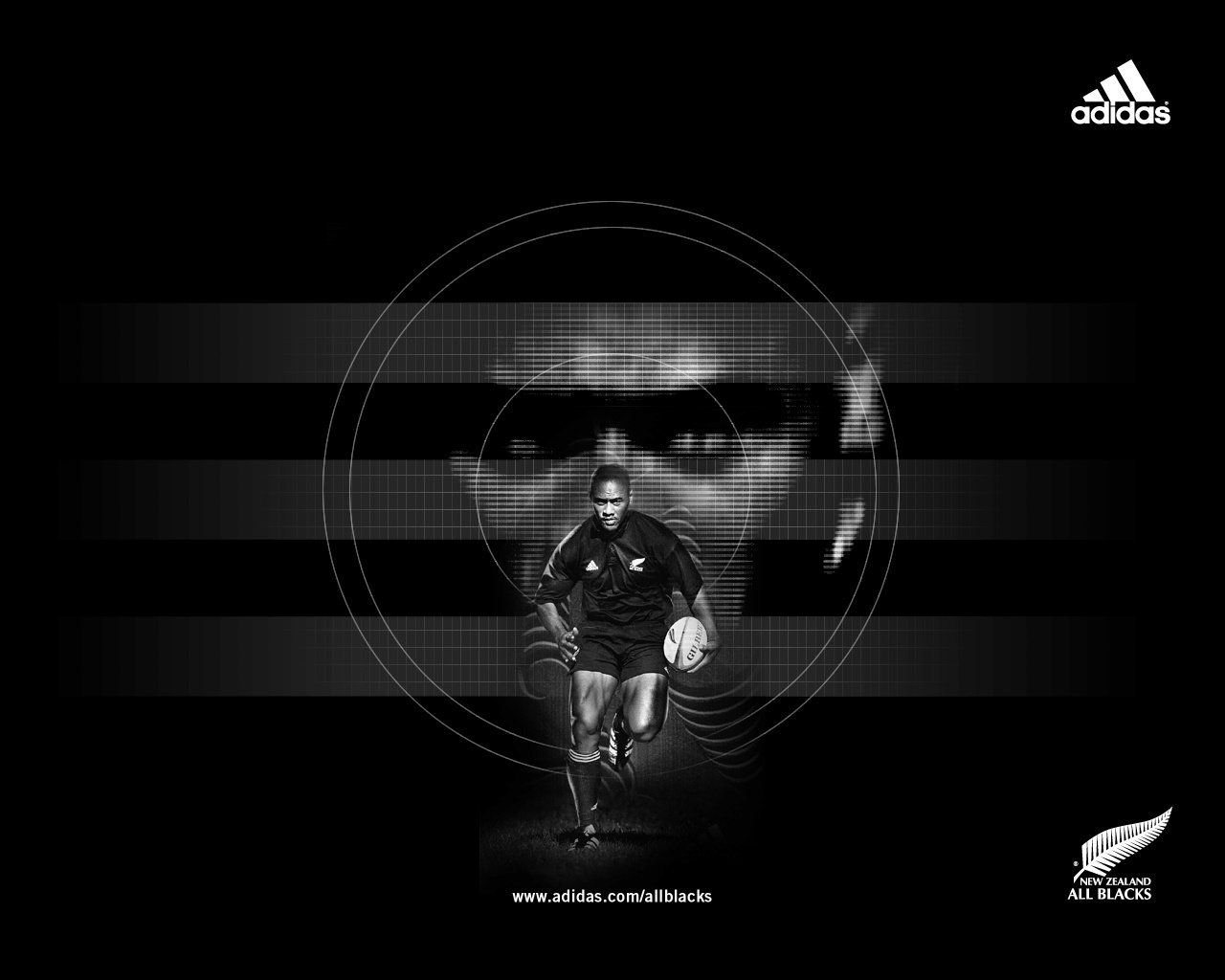 Rugby Adidas - Wallpaper