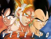 Vegetto