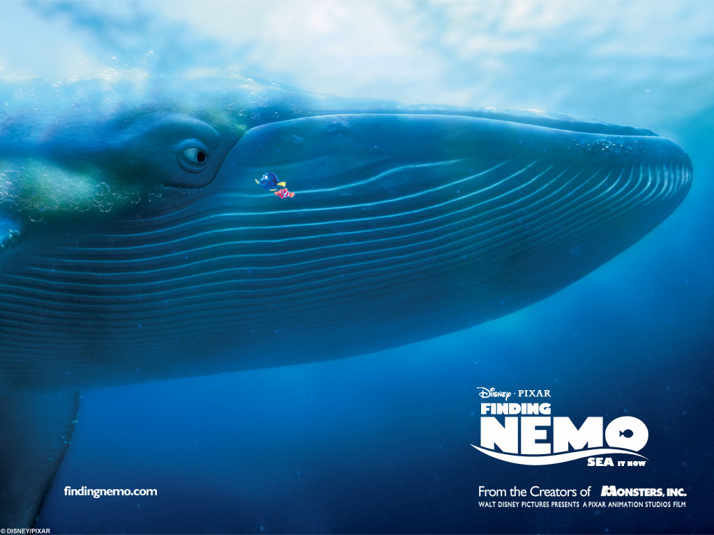 Fond d'ecran Le monde de Nemo 