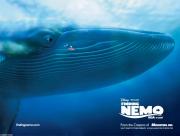 Le monde de Nemo 