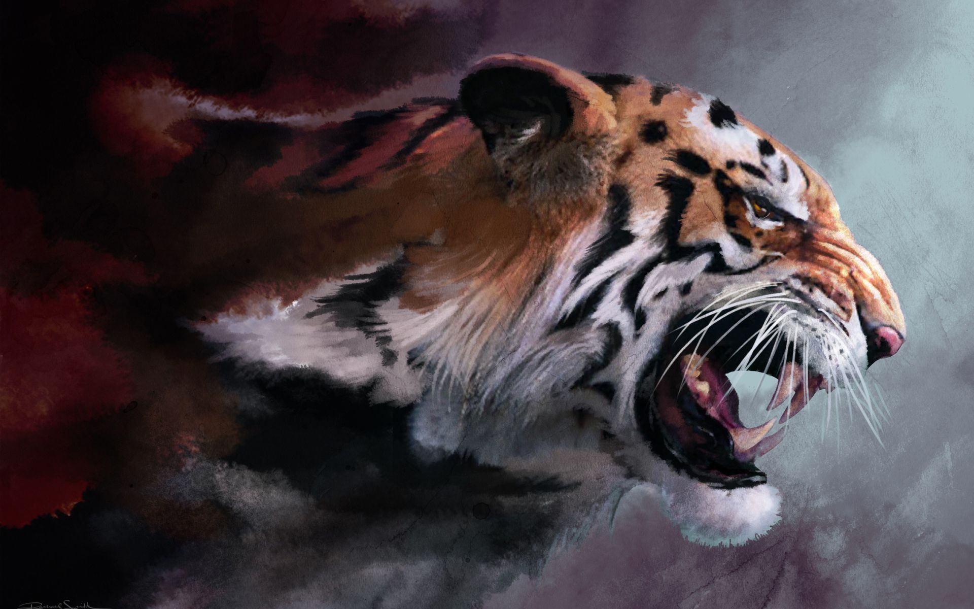 Fond d'ecran Tigre froce