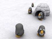 Pingouin Igloo