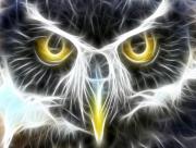 Hibou Regard Art