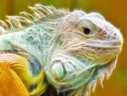 Iguane Art