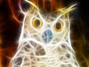 Hibou Art graphique