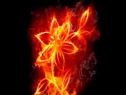 Fire Flower