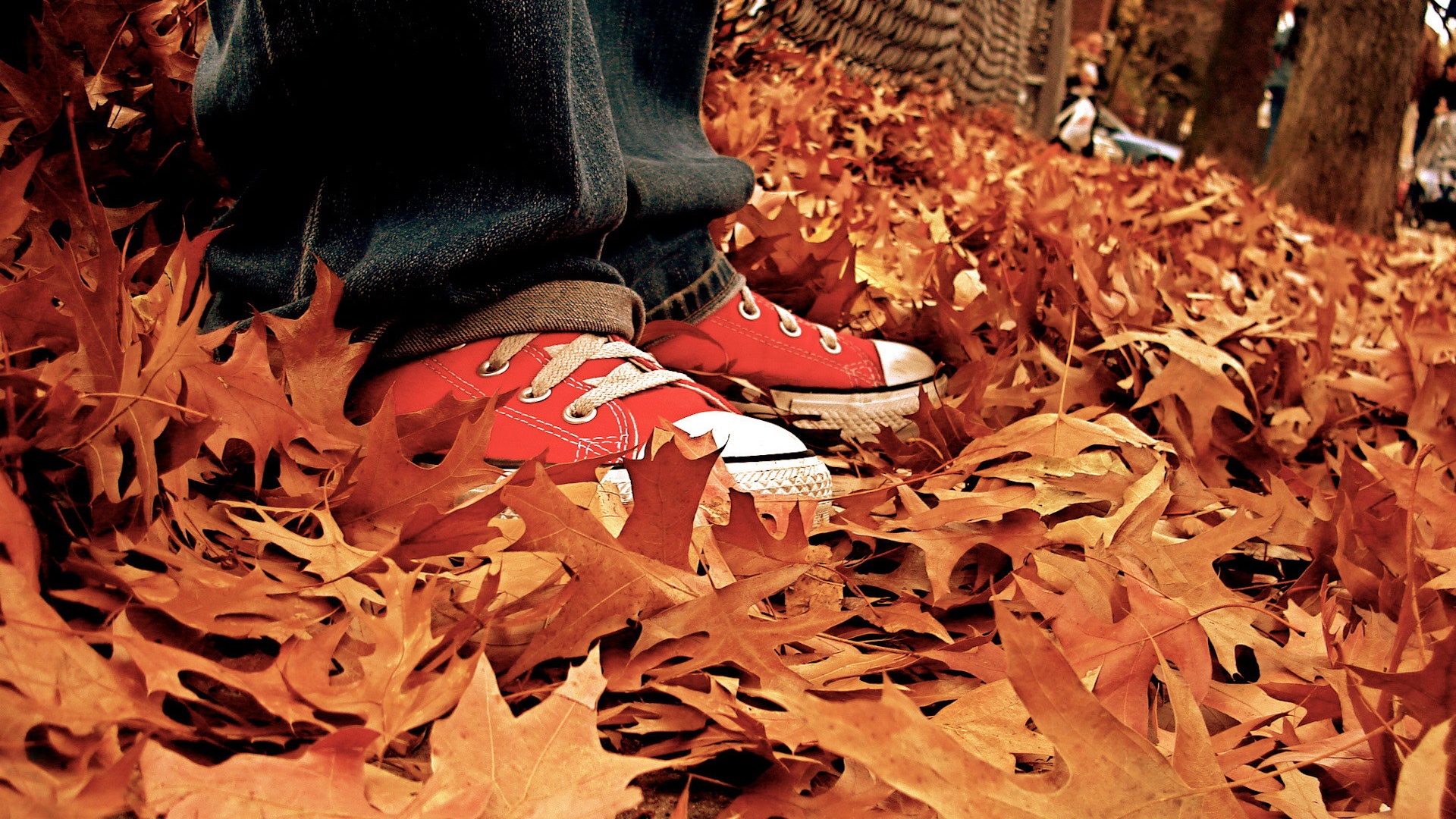 Fond d'ecran Pieds d'automne