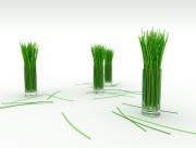 Herbe design