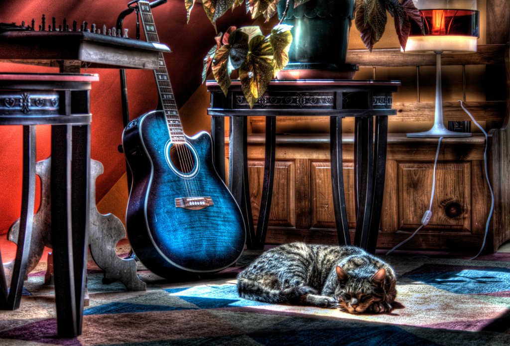 Fond d'ecran Guitare et chat