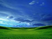 Paysage virtuel