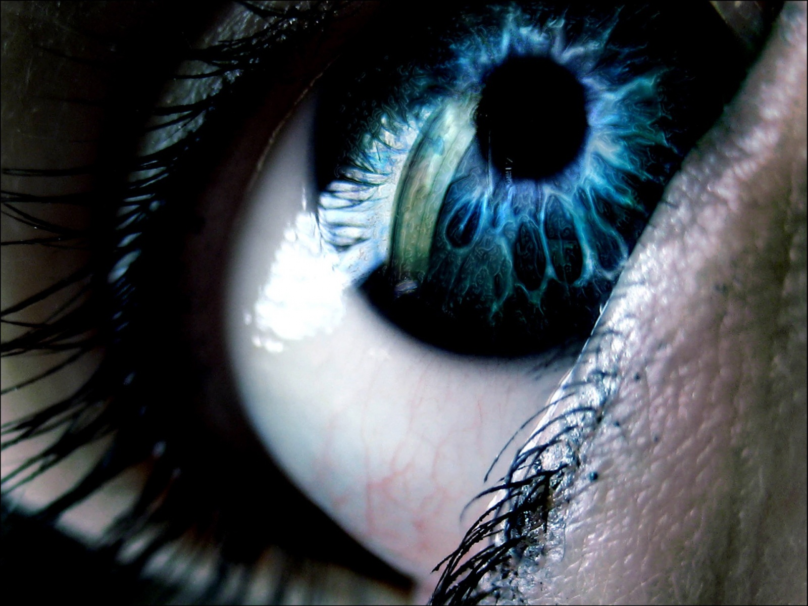 Fond d'ecran Dans l'oeil bleu