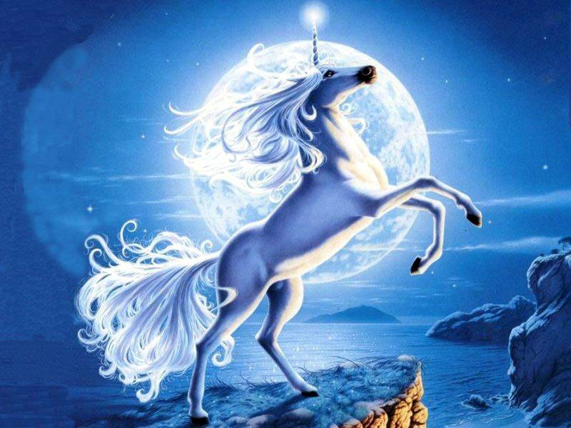 Fond d'ecran Licorne bleue