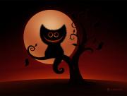 Chat nuit d'Halloween