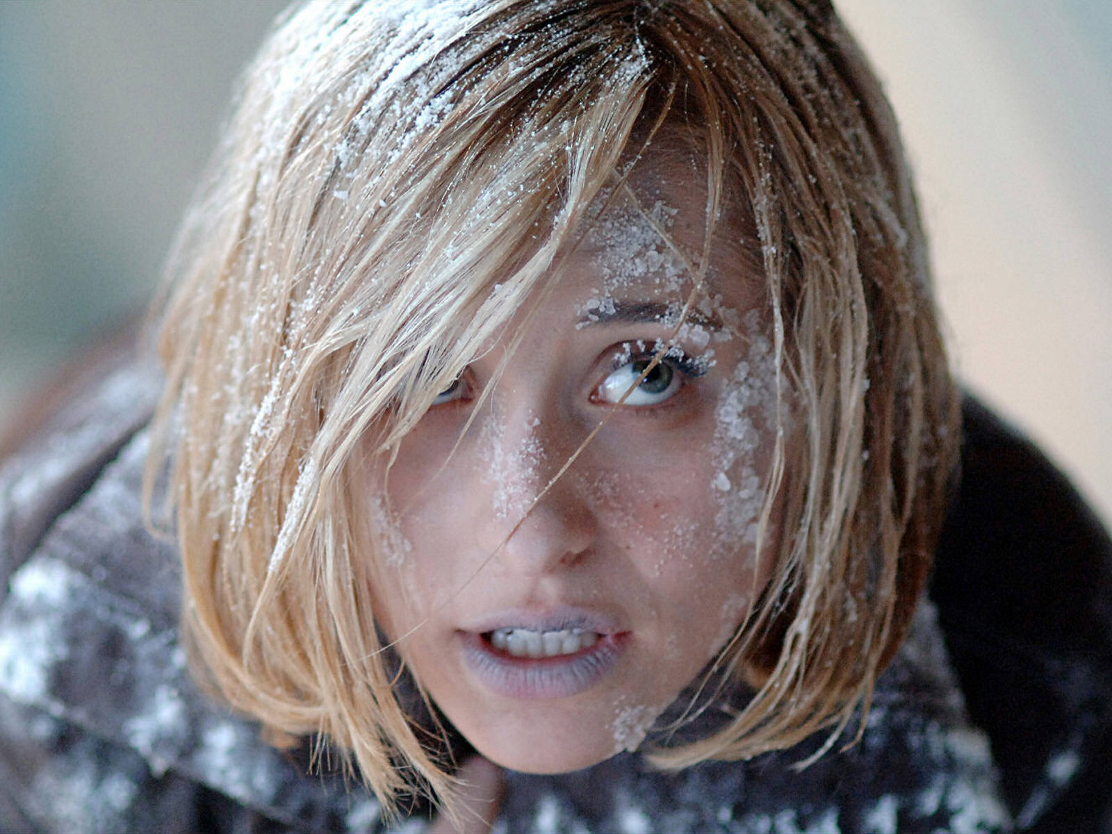 Fond d'ecran Allison Mack glace