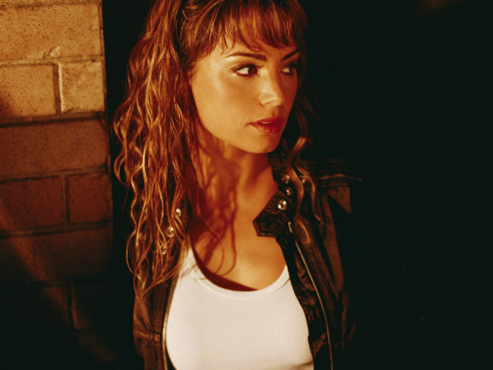 Fond d'ecran Erica Durance actrice