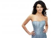 Lauren Graham corset bleu