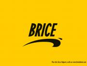 Brice de Nice