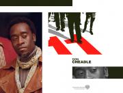 Don Cheadle Ocean