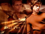 Brad Pitt en pull
