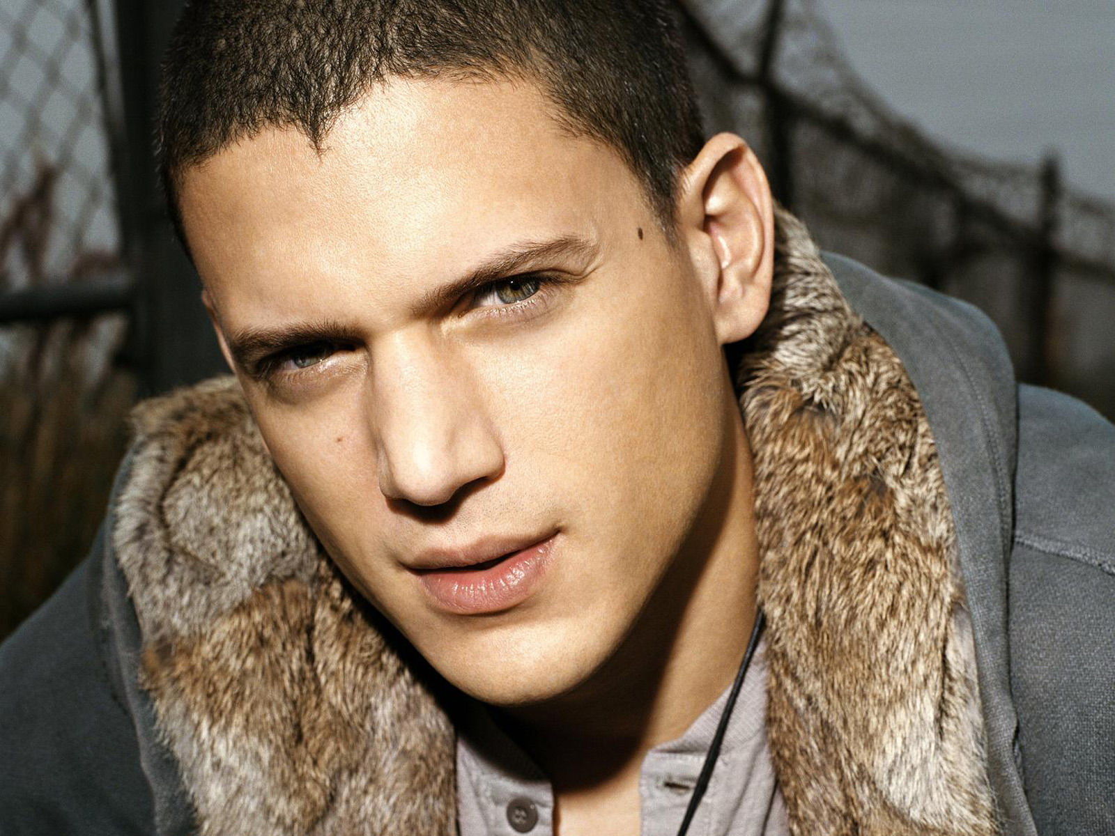 Fond d'ecran Wentworth Miller