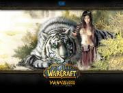 World of warcraft