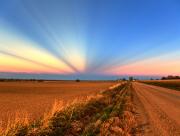 Champs agriculteur