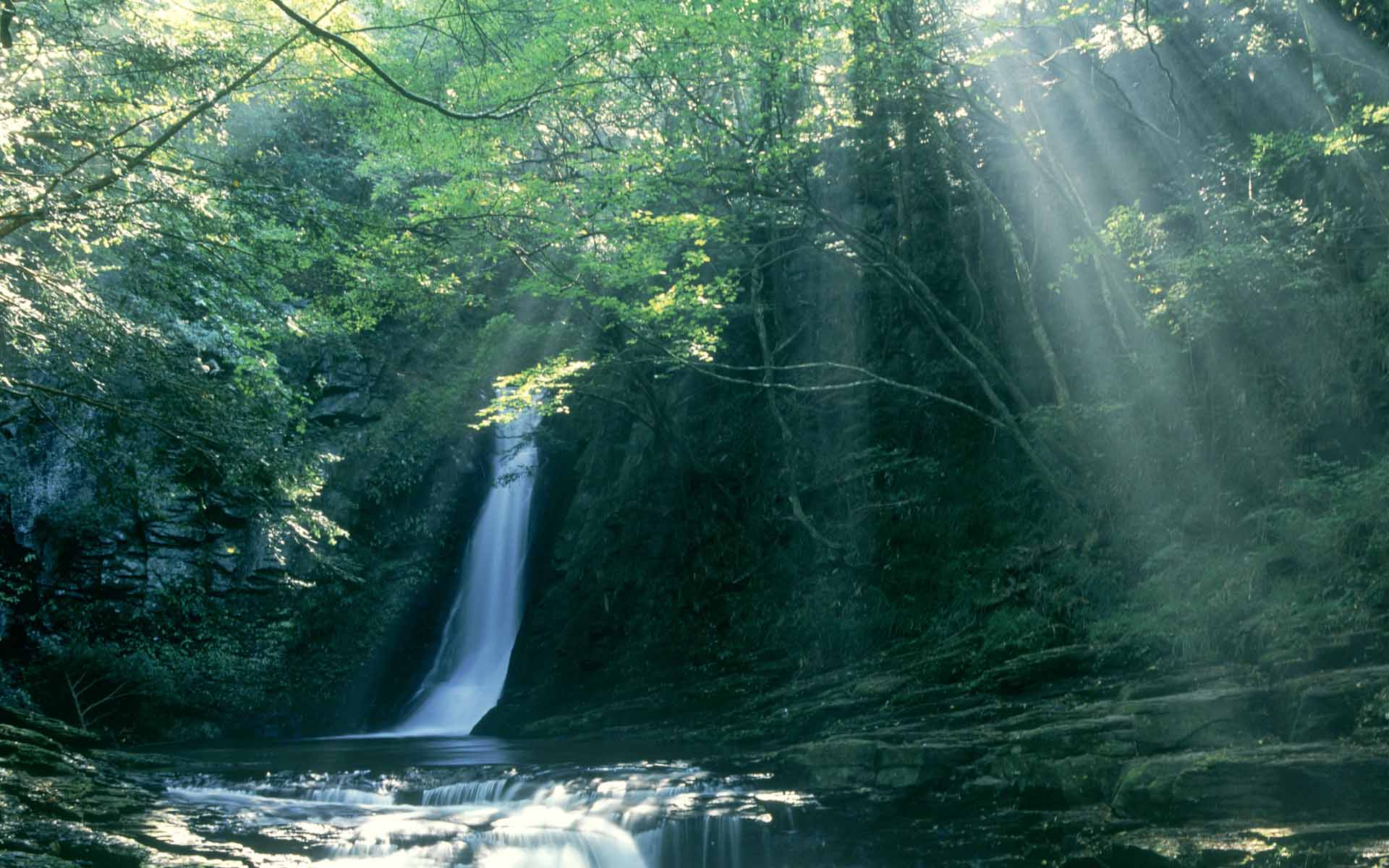 Fond d'ecran Cascade au Japon