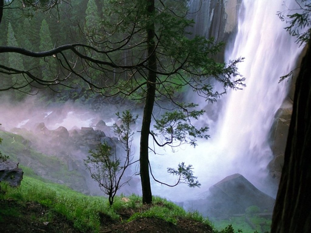 Fond d'ecran Foret et cascade