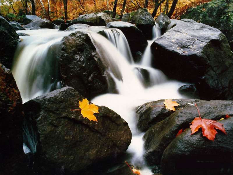 Fond d'ecran Chute d'eau et cascade