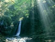 Cascade au Japon